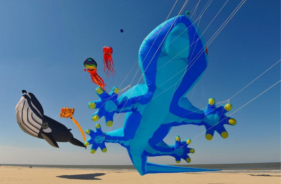 Drachen-Animation rund um den Campingplatz Grand Marais an der Opalküste