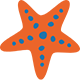 Picto starfish